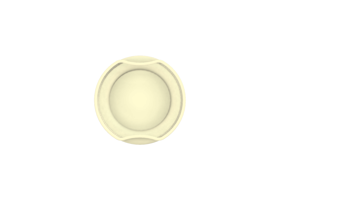 Novella Cup